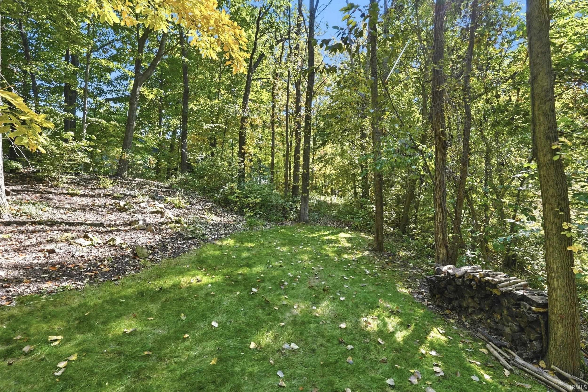 Image of 2808 Cliffwood Lane