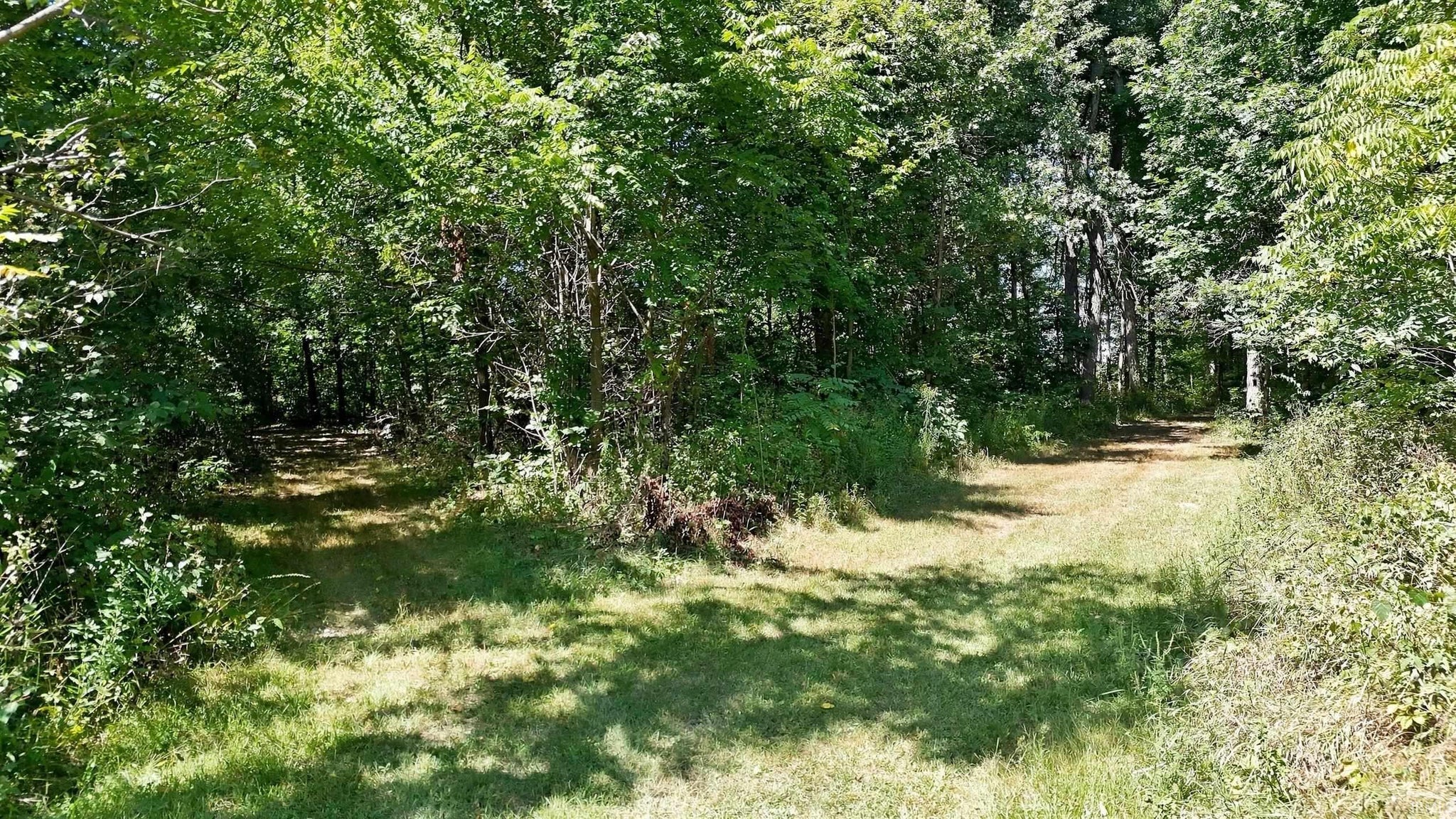 Image of 14733 Coldwater Road